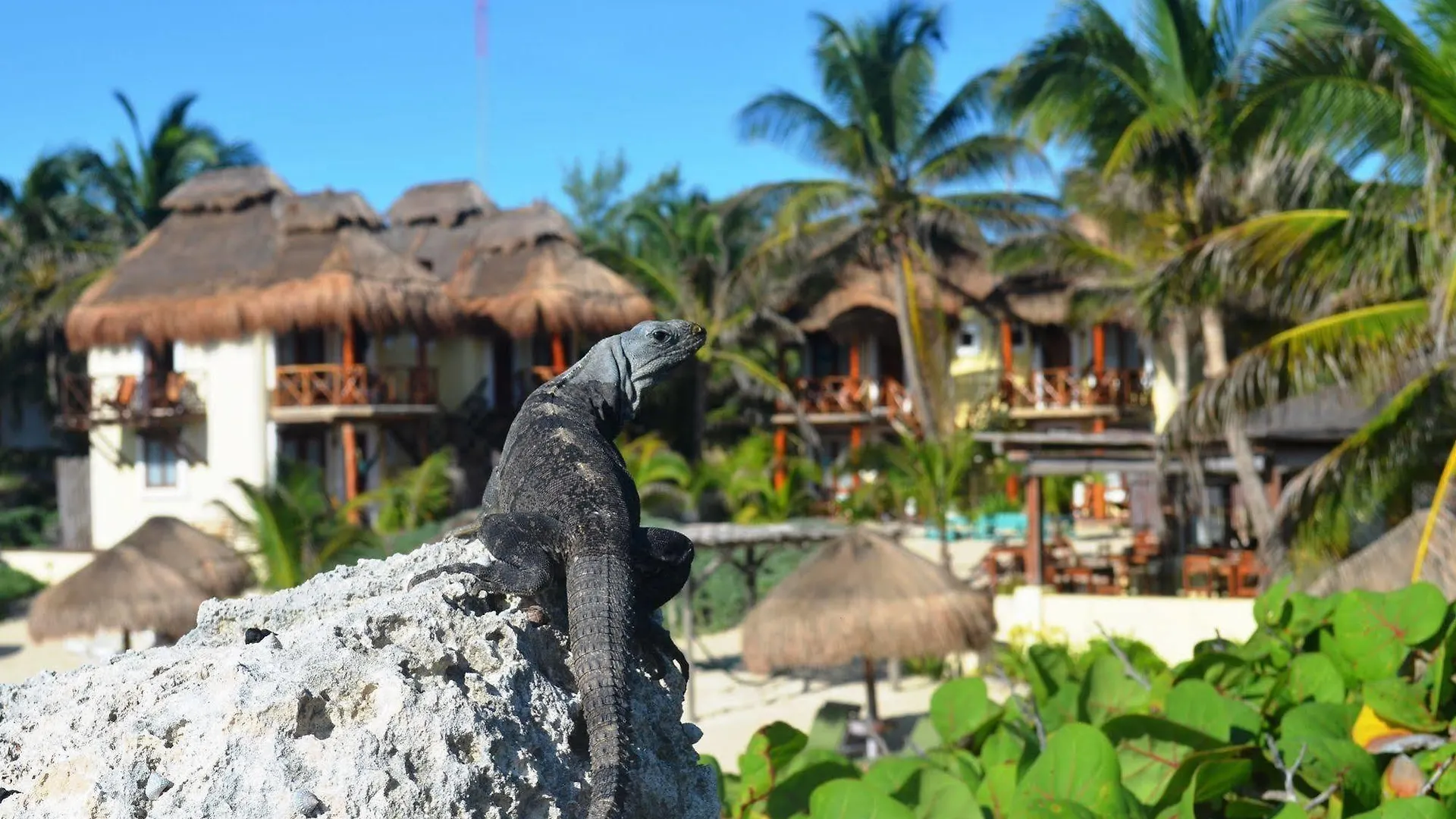 Hotel Piedra Escondida Tulum Pueblo