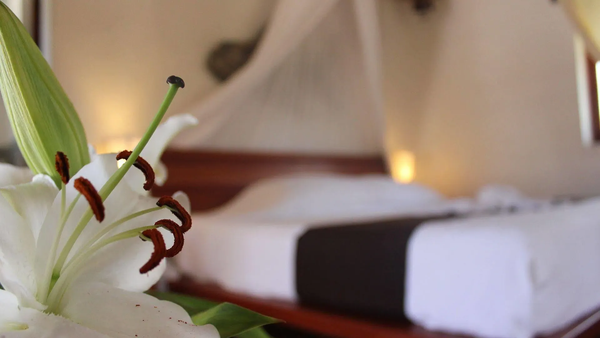 ***  Hotel Piedra Escondida Tulum Meksyk