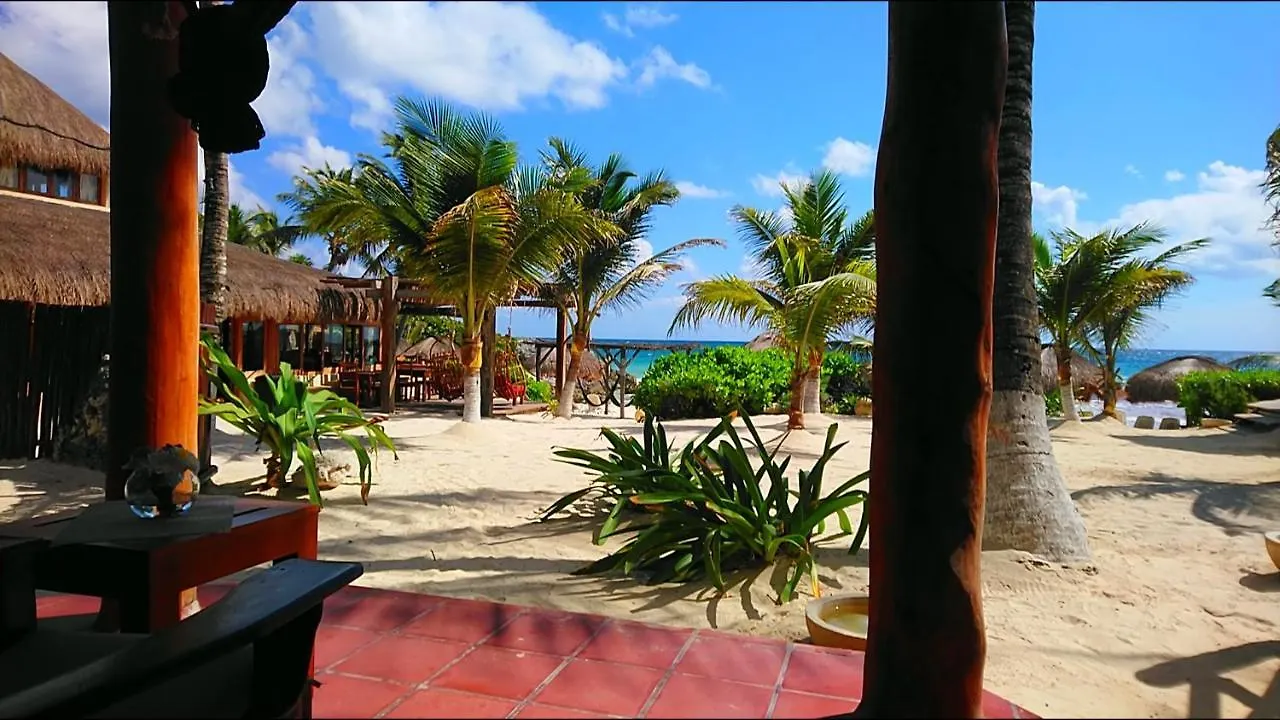 ***  Hotel Piedra Escondida Tulum México